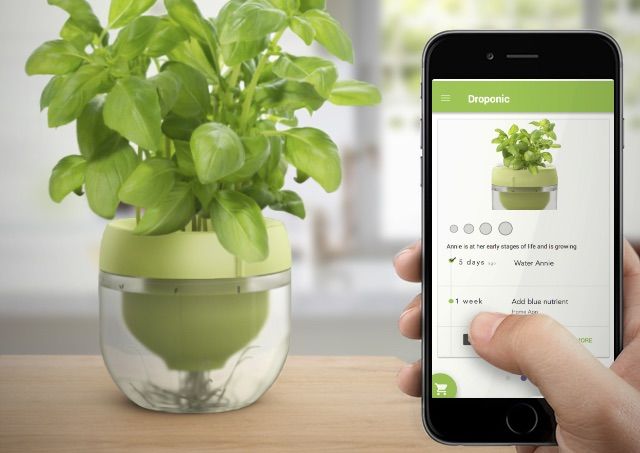 Smart Indoor Herb Gardens