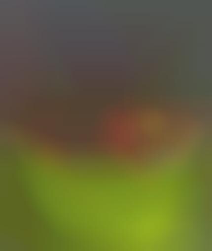 Cereal Bowl Light