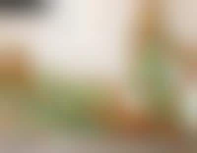 Bisexual Dating Shows: Ikki Twins In MTV's 'A Double Shot at Love'