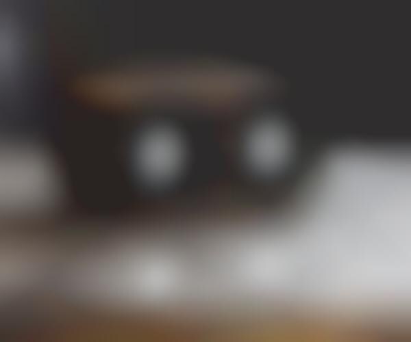 Natural Walnut Speakers