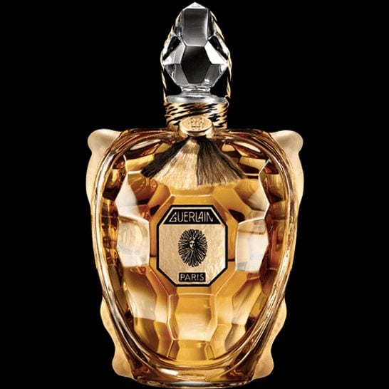 Turtle-Shaped Luxury Perfumes