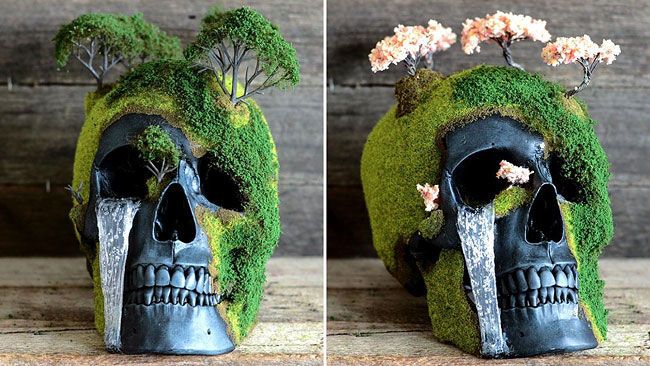 Bonsai Skull Gardens