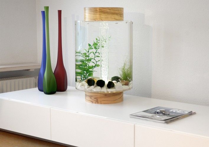 Cylindrical Fish Tanks