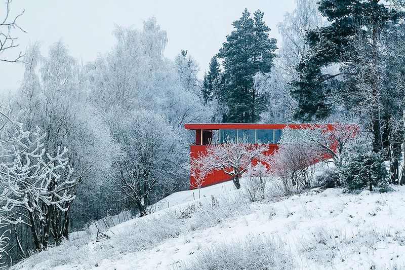 Vibrant Norwegian Homes