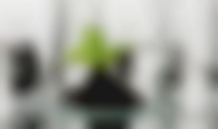 Medical Marijuana Biotech Brands