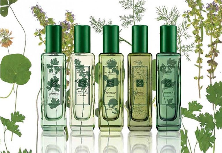 Herb-Inspired Fragrances