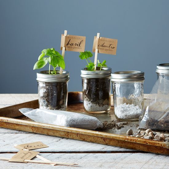 Mason Jar Gardening Kits