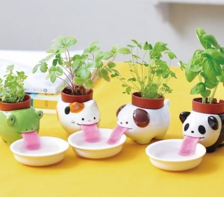 Water-Sipping Planters