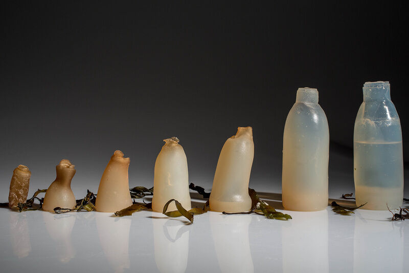 Biodegradable Algae Bottles Main Gallery Image