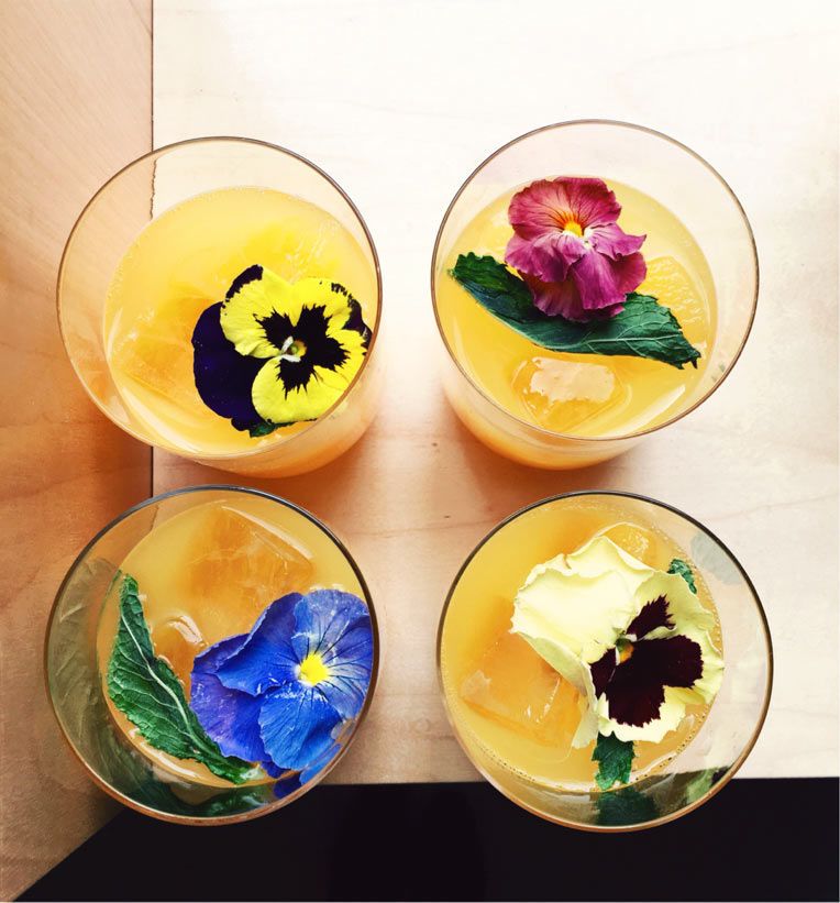 Spicy Floral Cocktails