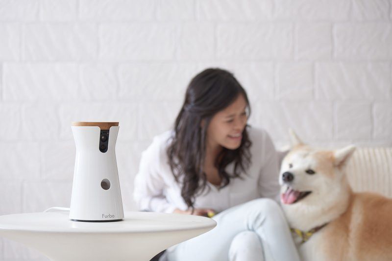 Treat-Dispensing Pet Cameras