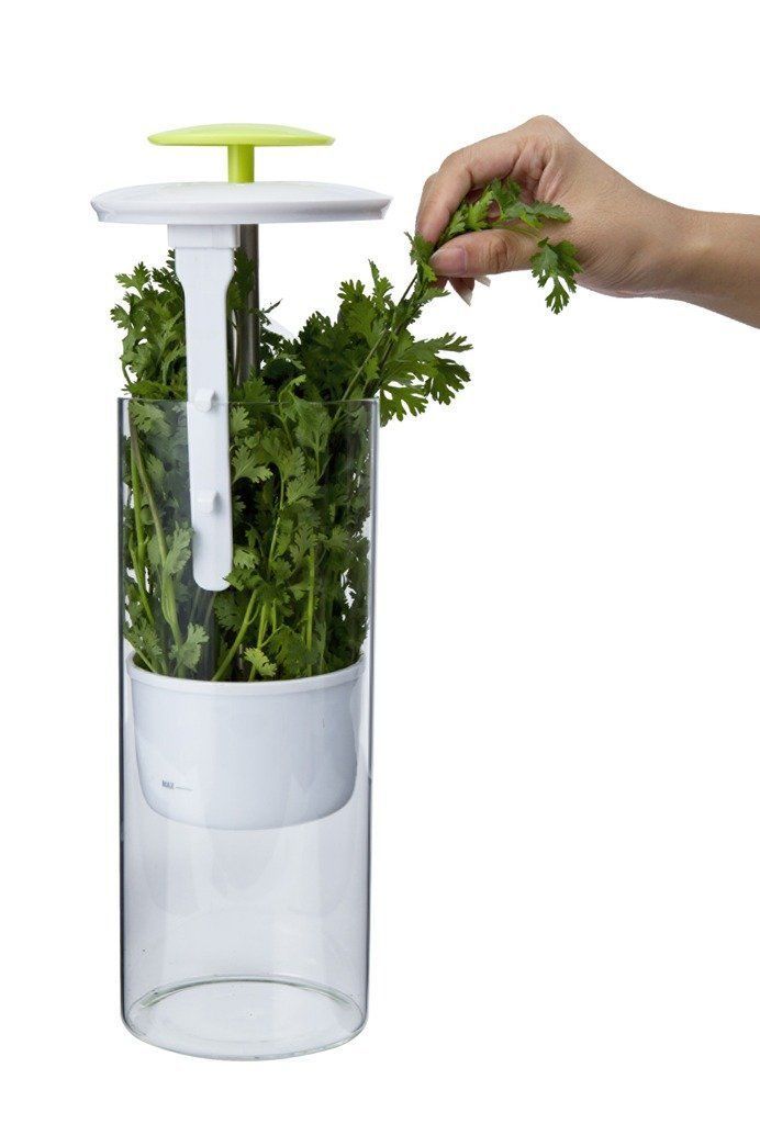 Freshness-Increasing Herb Holders