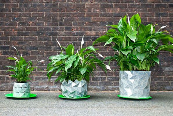 Expanding Origami Planters