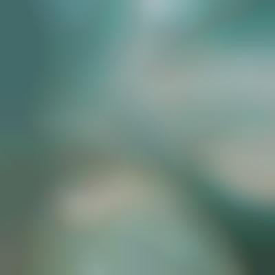 Sheer Autodacity