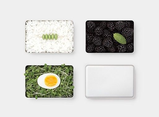 Minimalist Adult Lunch Boxes