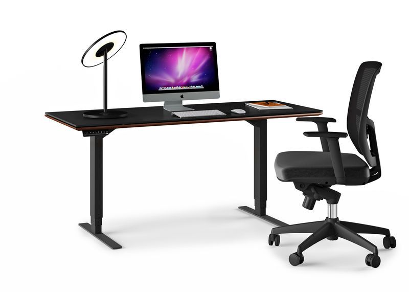 Sleek Adjustable Desks