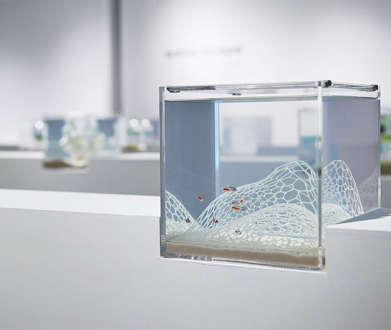 3D-Printed Aquariums