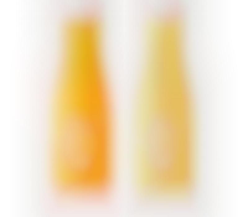 Minimalist Orange Juice Branding