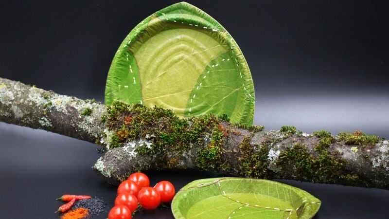 Biodegradable Leaf Plates