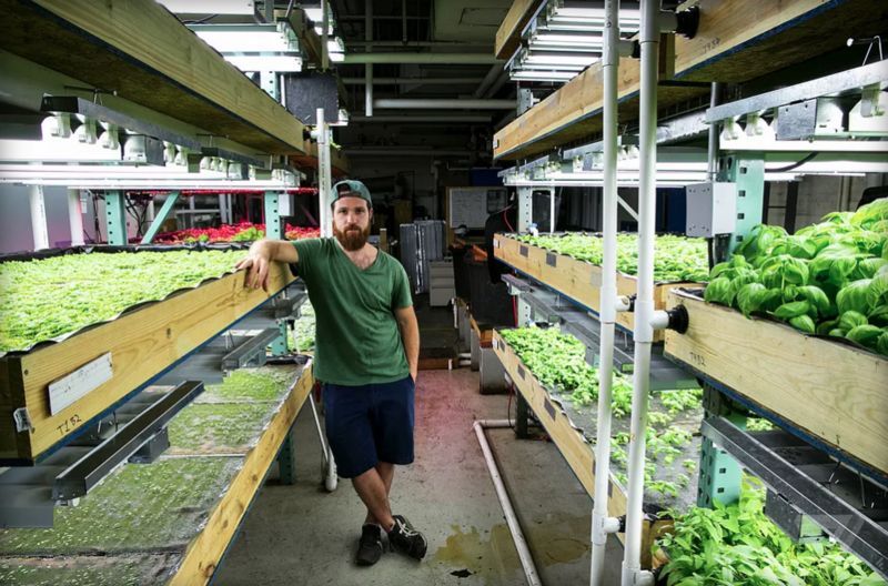 Tilapia Aquaponic Farms