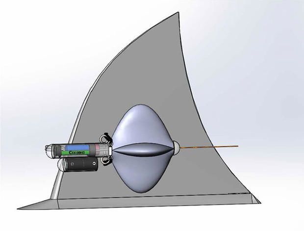 Predatoryl Fin Cameras