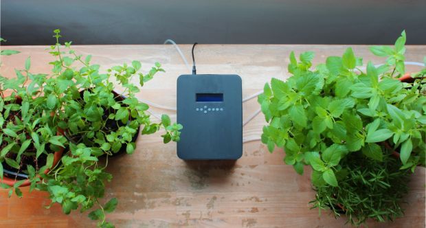 Automated Plant Watering Systems