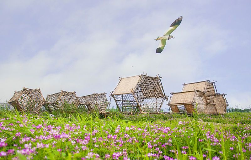 Bamboo Hexagonal Structures