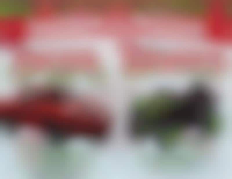 Promotional Holiday Giveaways