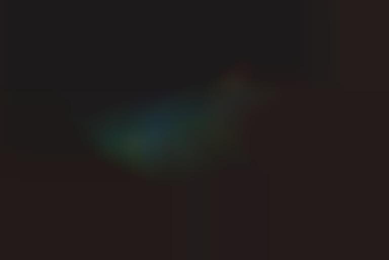 Long-Exposure Firefly Photography