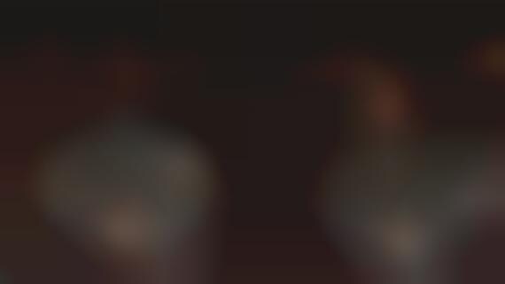 Professional Sports Partnerships