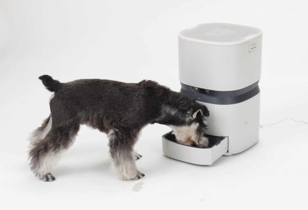 Connected Pet Feeders