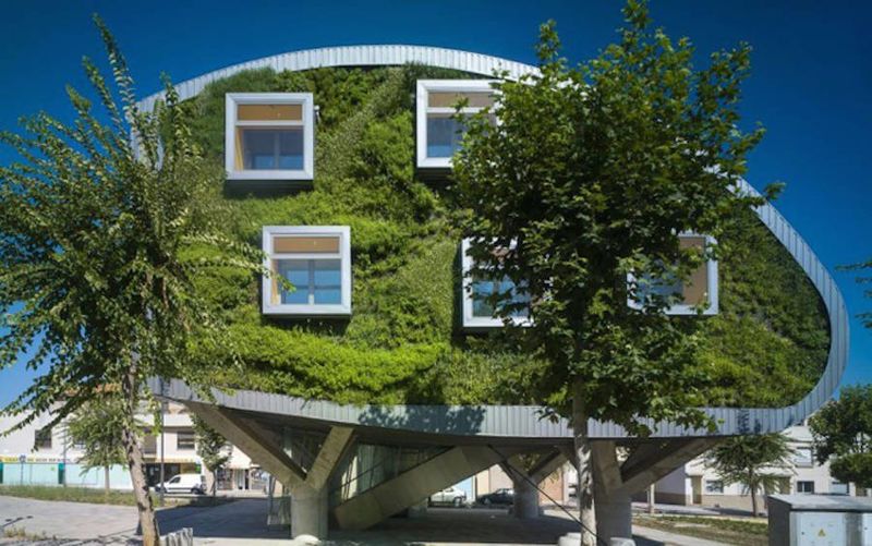 Grassy Futuristic Homes