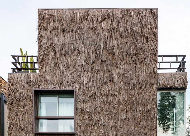 Tree-Textured Home Exteriors