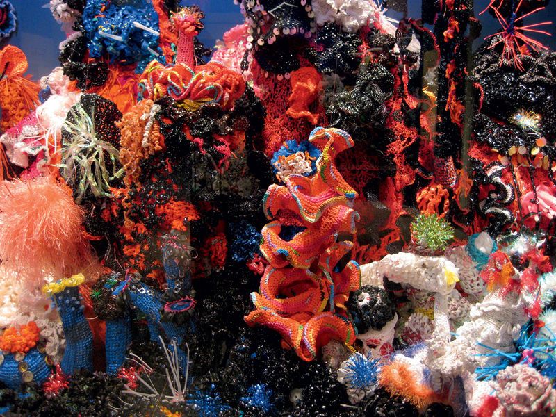 Crocheted Coral Sculptures