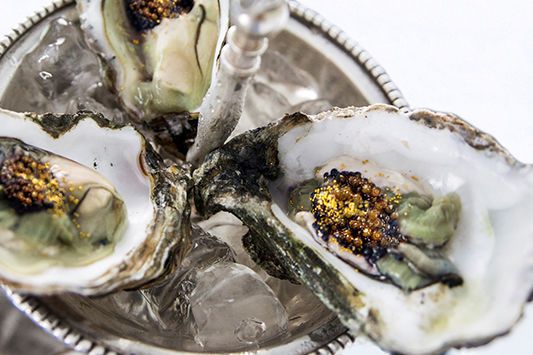 Luxury Oyster Dining Experiences