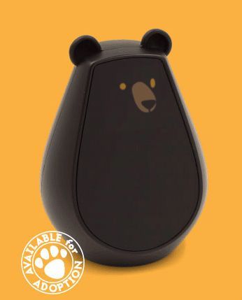 Bear-Shaped Home Automation Bots