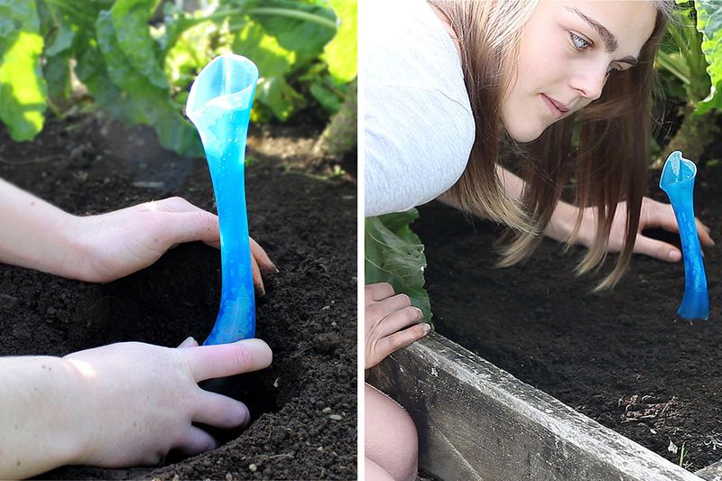 Planted Wireless Speakers