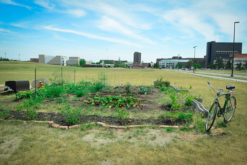 Sustainable Gardening Clubs