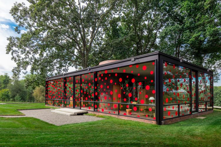 Dotted Glass Houses