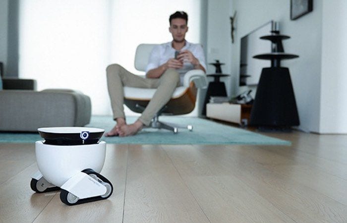 Home Security Companion Robots