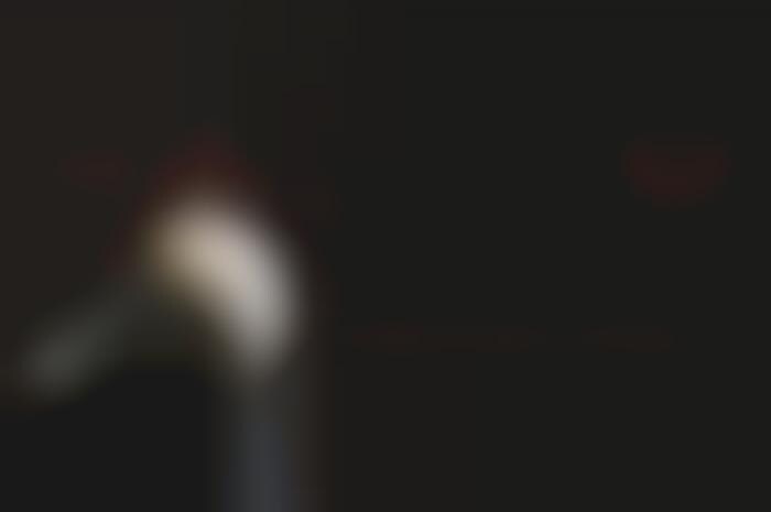 Intelligent Learning Light Bulbs
