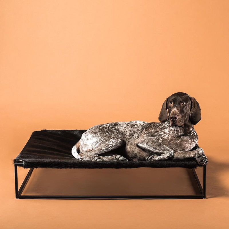 Canine Sling Beds