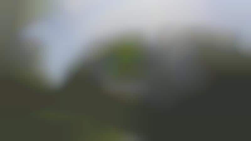 App-Based Security Cameras
