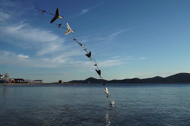 Flying Fish Drones