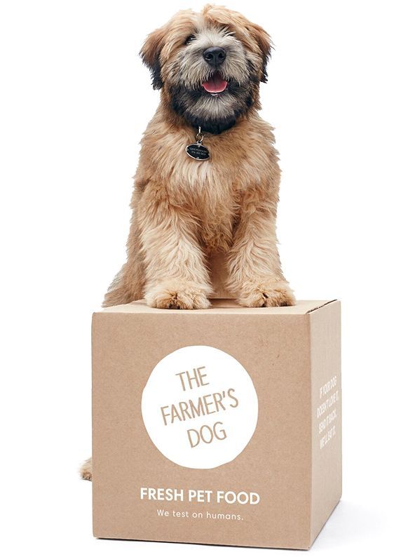 Personalized Pet Food Subscriptions