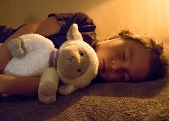 Sleep-Assisting Sheep Toys