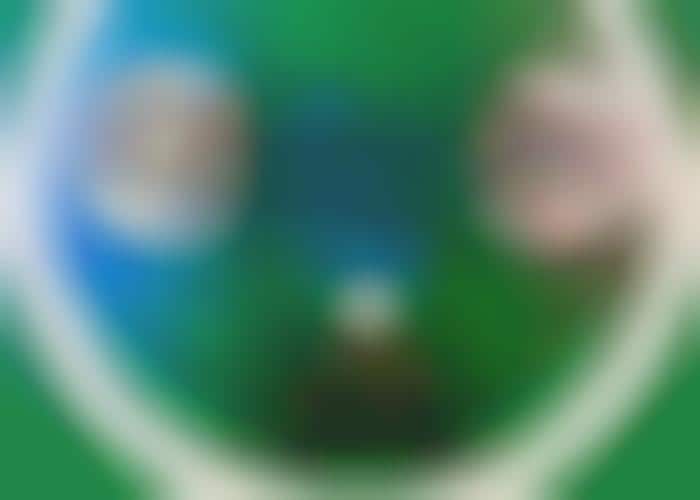 Soccer-Playing Robots