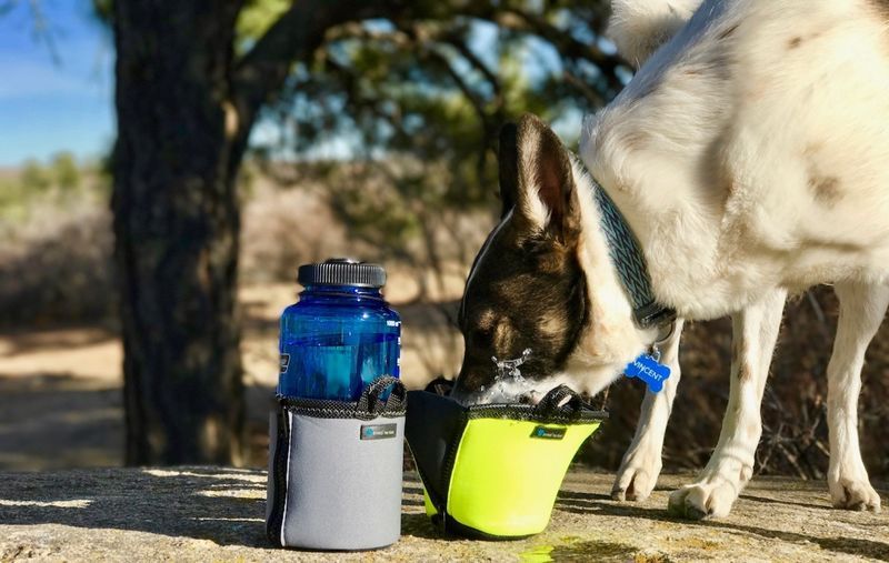 Rugged Travel Dog Bowls