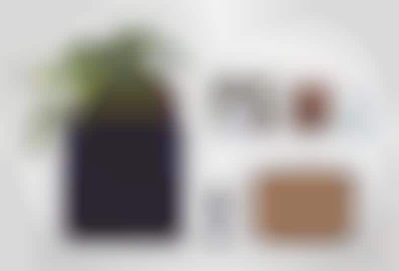 Beginner Urban Garden Kits