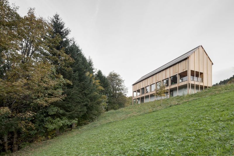 Perched Larch-Clad Homes